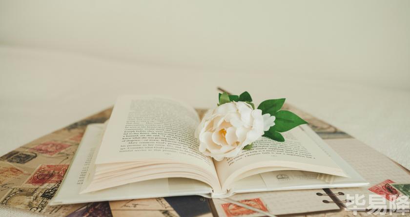 毕易降,毕易降官网,毕易降降重系统