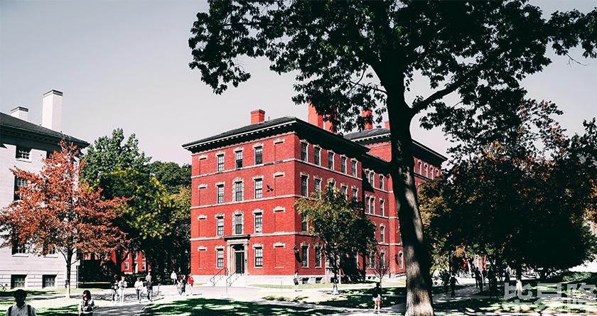 毕易降,毕易降官网,毕易降降重系统