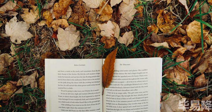 毕易降,毕易降官网,毕易降降重系统